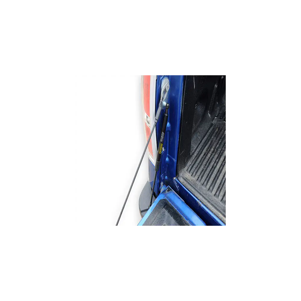 Tailgate Assist Ford F150 - DZ43200 - DZ43200